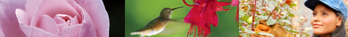 VeriFlora